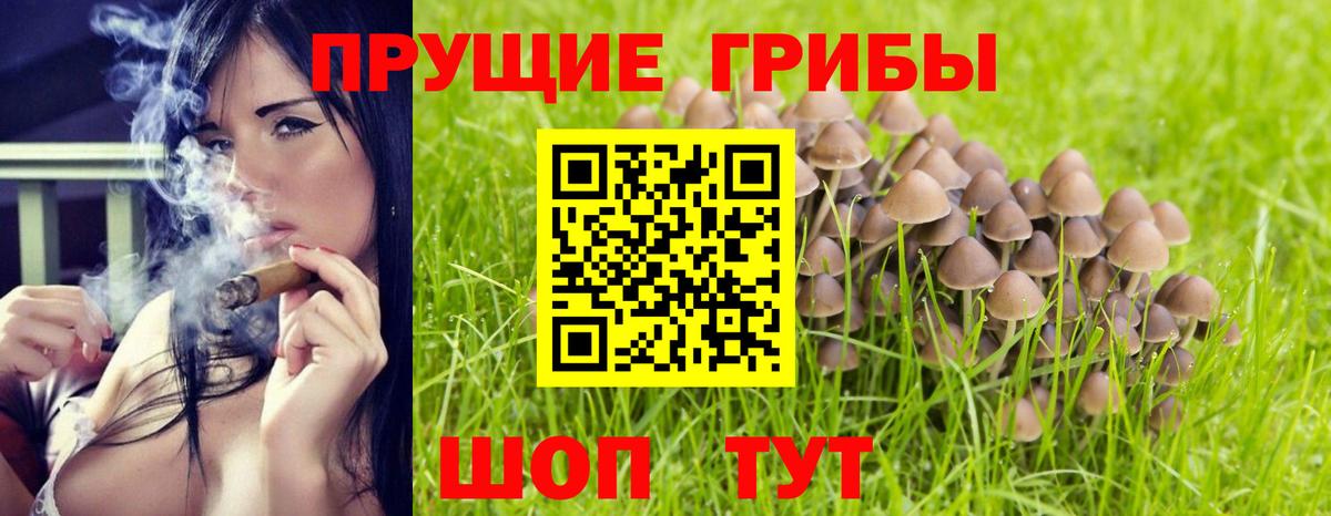Псилоцибиновые грибы мицелий  Вход с VPN  Беслан 