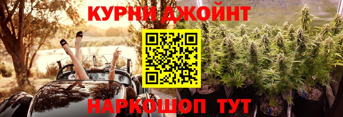 Канабис сатива Беслан